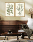 Paragon Botanical Plants Wood Frame Green Canvas Art 2PC