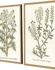 Paragon Botanical Plants Wood Frame Green Canvas Art 2PC