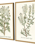 Paragon Botanical Plants Wood Frame Green Canvas Art 2PC