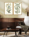Paragon Botanical Plants Wood Frame Green Canvas Art 2PC