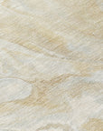Faerel Brown Washable Indoor-Outdoor Rug