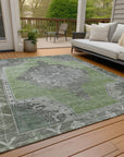 Addison Rugs Haelion Aloe Washable Indoor-Outdoor Rug