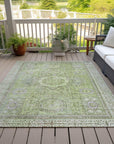 Addison Rugs Irias Aloe Washable Indoor-Outdoor Rug