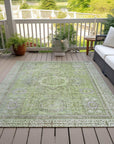 Addison Rugs Irias Aloe Washable Indoor-Outdoor Rug