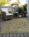 Addison Rugs Iriir Aloe Washable Indoor-Outdoor Rug