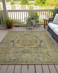 Addison Rugs Iriir Aloe Washable Indoor-Outdoor Rug