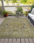 Addison Rugs Iriir Aloe Washable Indoor-Outdoor Rug