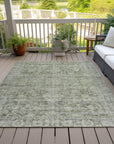 Addison Rugs Iriira Aloe Washable Indoor-Outdoor Rug