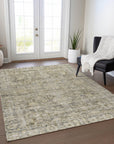 Addison Rugs Iriira Gray Washable Indoor-Outdoor Rug