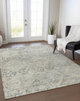 Addison Rugs Iriius Gray Washable Indoor-Outdoor Rug
