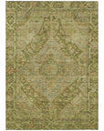 Addison Rugs Kaelanor Aloe Washable Indoor-Outdoor Rug