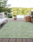 Addison Rugs Laeara Aloe Washable Indoor-Outdoor Rug