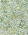 Addison Rugs Laeel Aloe Washable Indoor-Outdoor Rug