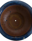 Emissary Pedestal Bowl Looked Outdoor Planter