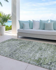 Addison Rugs Raeor Aloe Washable Indoor-Outdoor Rug