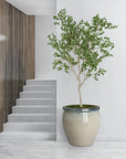 Emissary Round Crafted Ceramic Planter