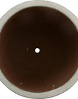 Emissary Round Distressed White Ceramic Planter