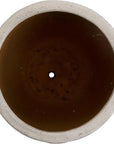 Emissary Weather Resistant Round Ceramic Planter