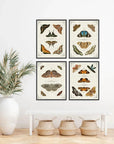 LOOMLAN Butterfly Collection I Artwork d Canvas Floating