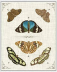 LOOMLAN Butterly Collection II Artwork d Canvas Floating