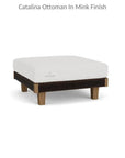 Lloyd Flanders Catalina Ottoman All Weather Wicker & Teak Wood