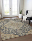 LOOMLAN Rugs Celia Gray Washable Indoor-Outdoor Rug