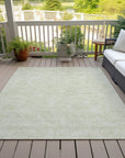 LOOMLAN Rugs Eleya Aloe Washable Indoor-Outdoor Rug