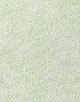 LOOMLAN Rugs Eleya Green Washable Indoor-Outdoor Rug