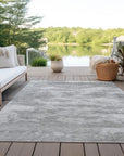 LOOMLAN Rugs Pyrelle Gray Washable Indoor-Outdoor Rug