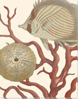 LOOMLAN Reef Life Coastal Wall Art Indoor Outdoor