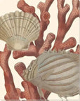 LOOMLAN Reef Life Coastal Wall Art Indoor Outdoor