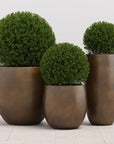 Aster Concrete Outdoor Round Planter