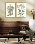 Paragon Botanical Plants Wood Frame Green Canvas Art 2PC