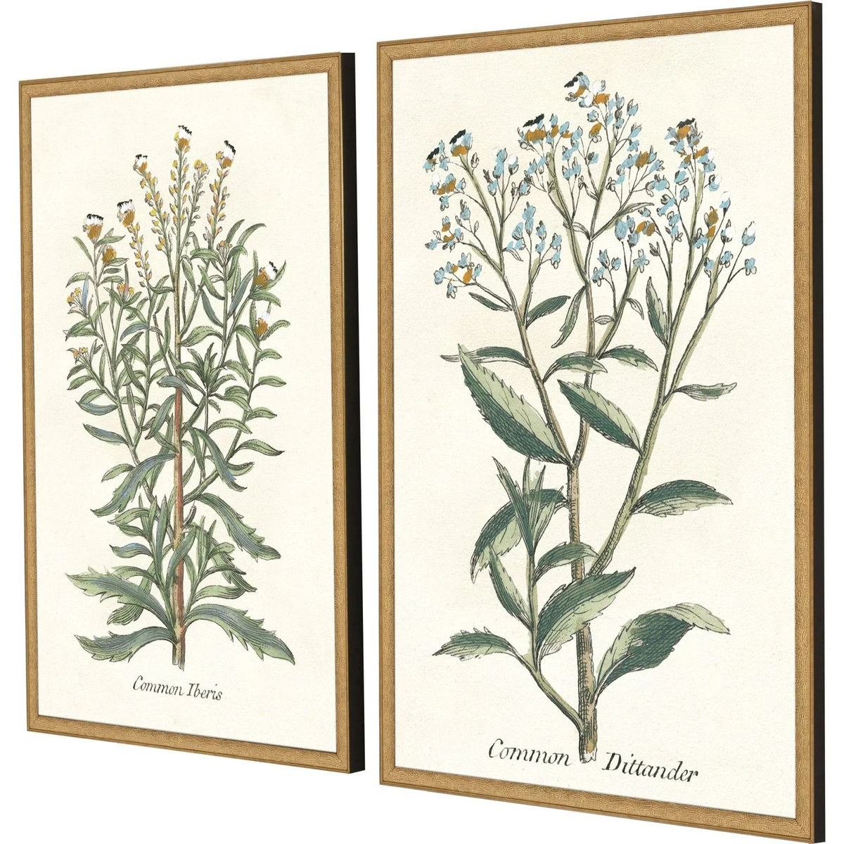 Paragon Botanical Plants Wood Frame Green Canvas Art 2PC