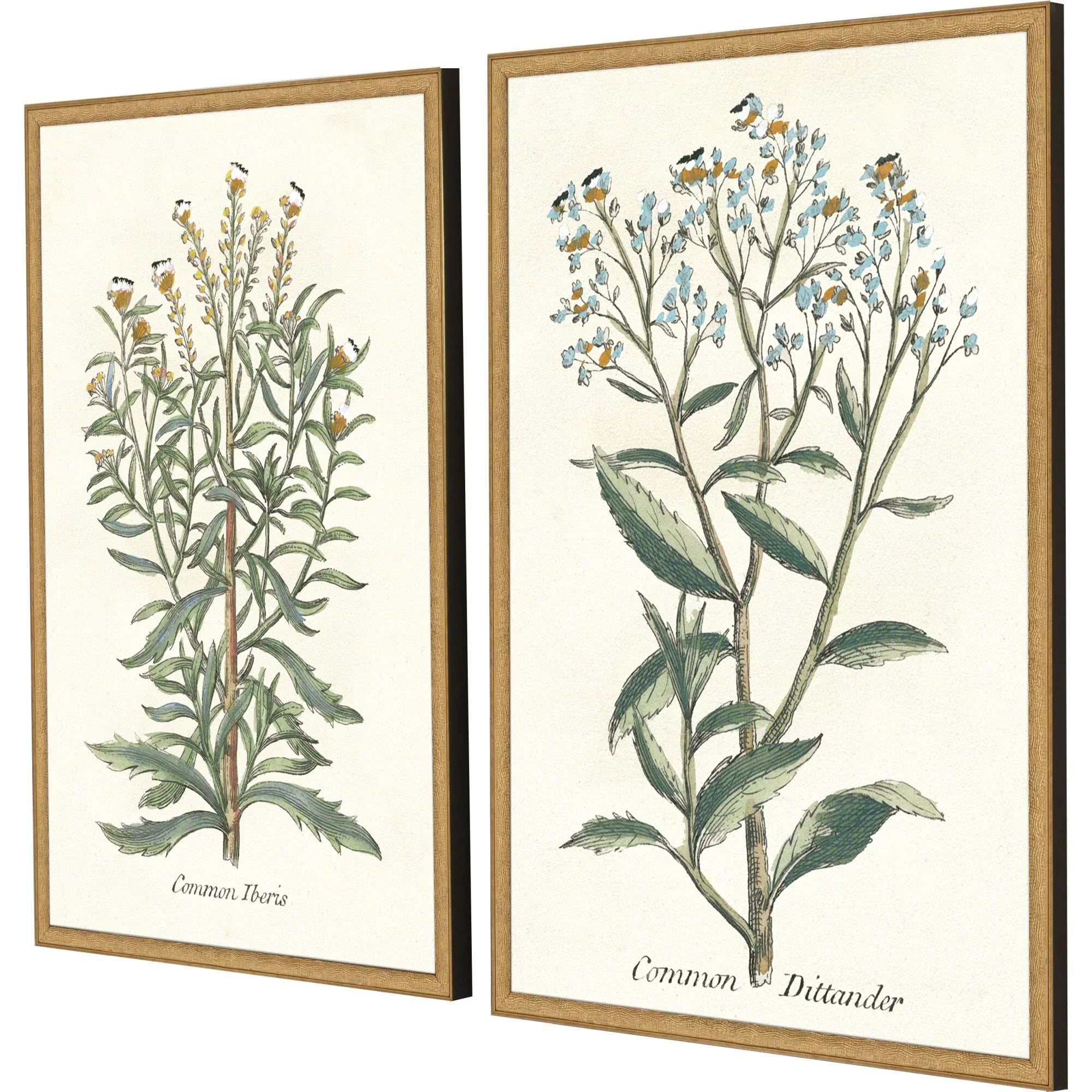 Paragon Botanical Plants Wood Frame Green Canvas Art 2PC