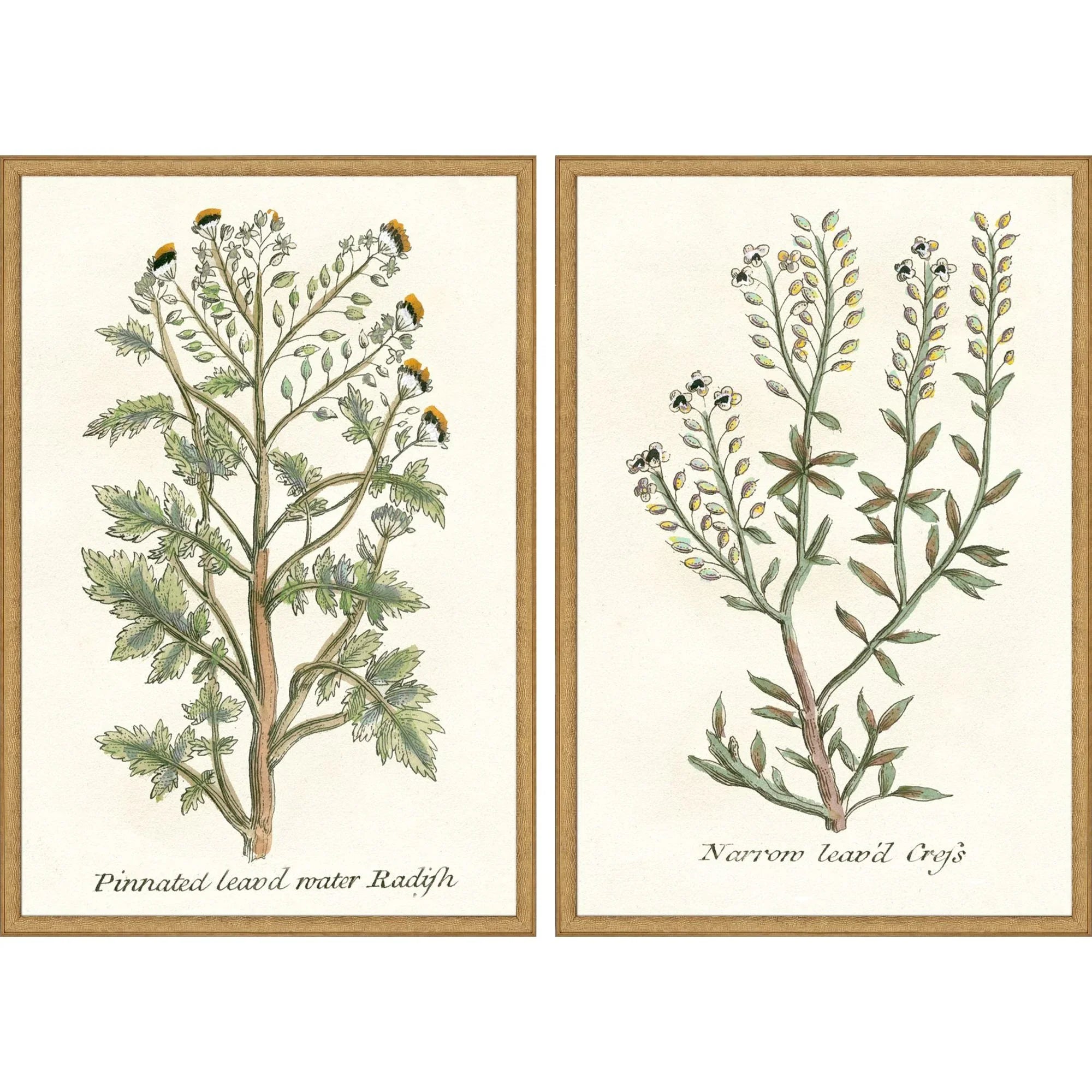 Paragon Botanical Plants Wood Frame Green Canvas Art 2PC
