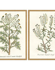 Paragon Botanical Plants Wood Frame Green Canvas Art 2PC