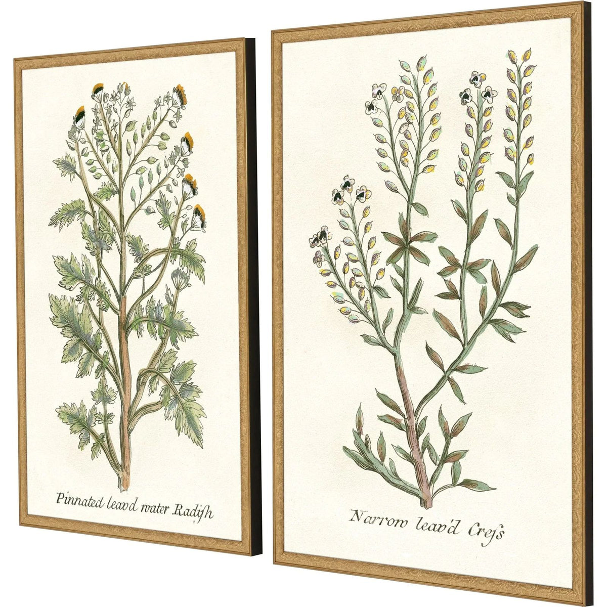 Paragon Botanical Plants Wood Frame Green Canvas Art 2PC
