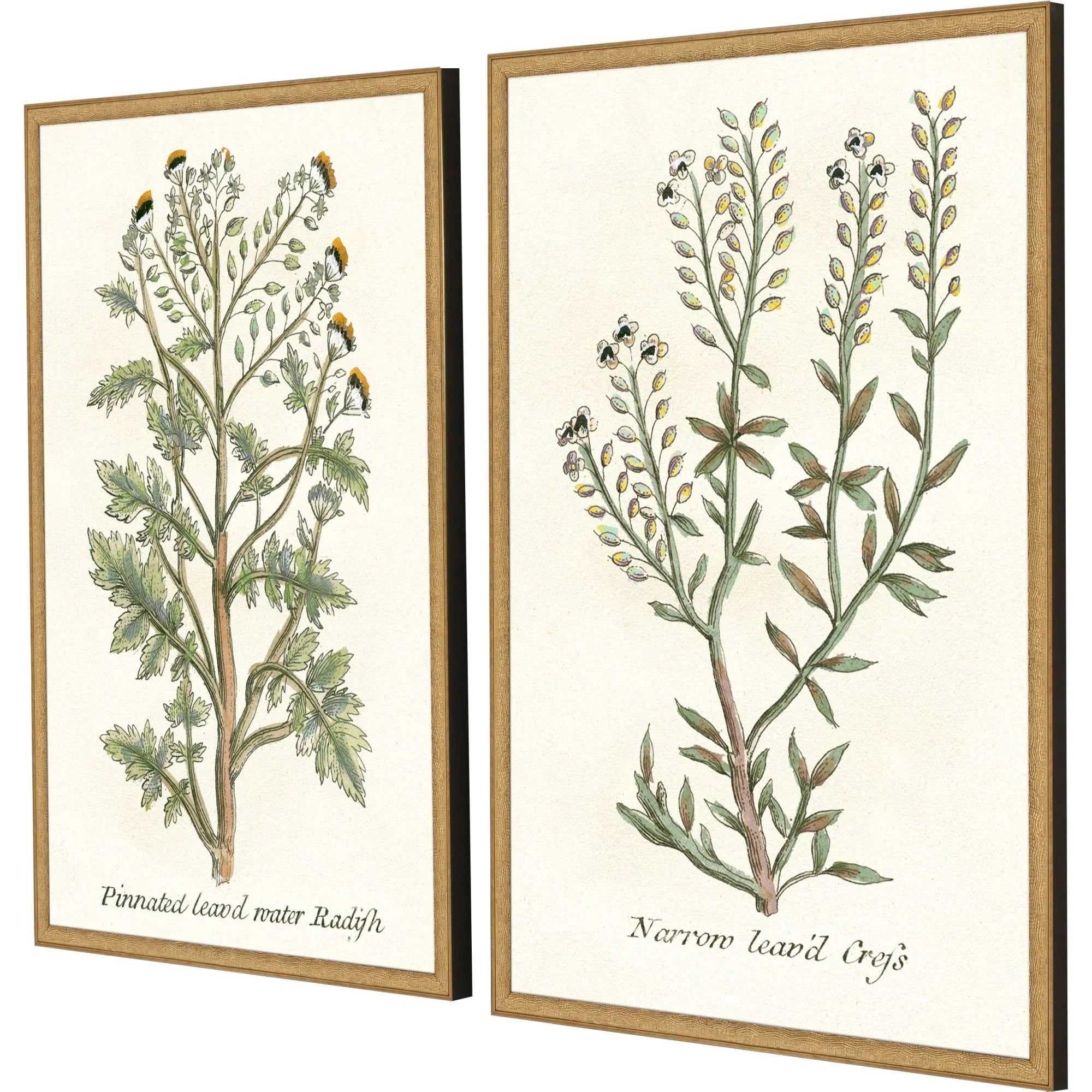 Paragon Botanical Plants Wood Frame Green Canvas Art 2PC