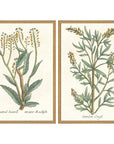 Paragon Botanical Plants Wood Frame Green Canvas Art 2PC