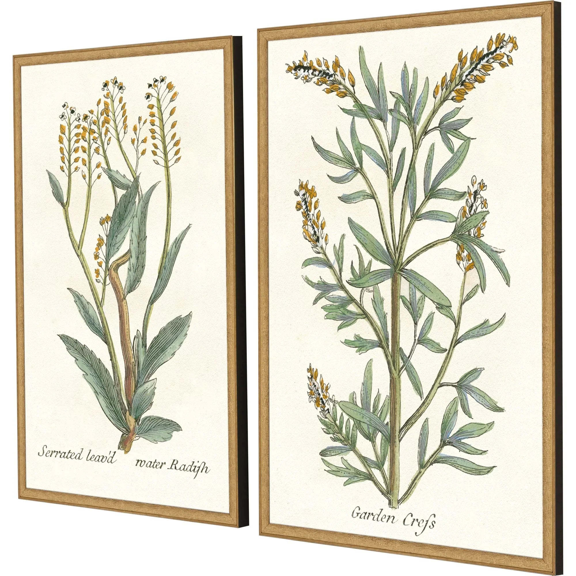 Paragon Botanical Plants Wood Frame Green Canvas Art 2PC