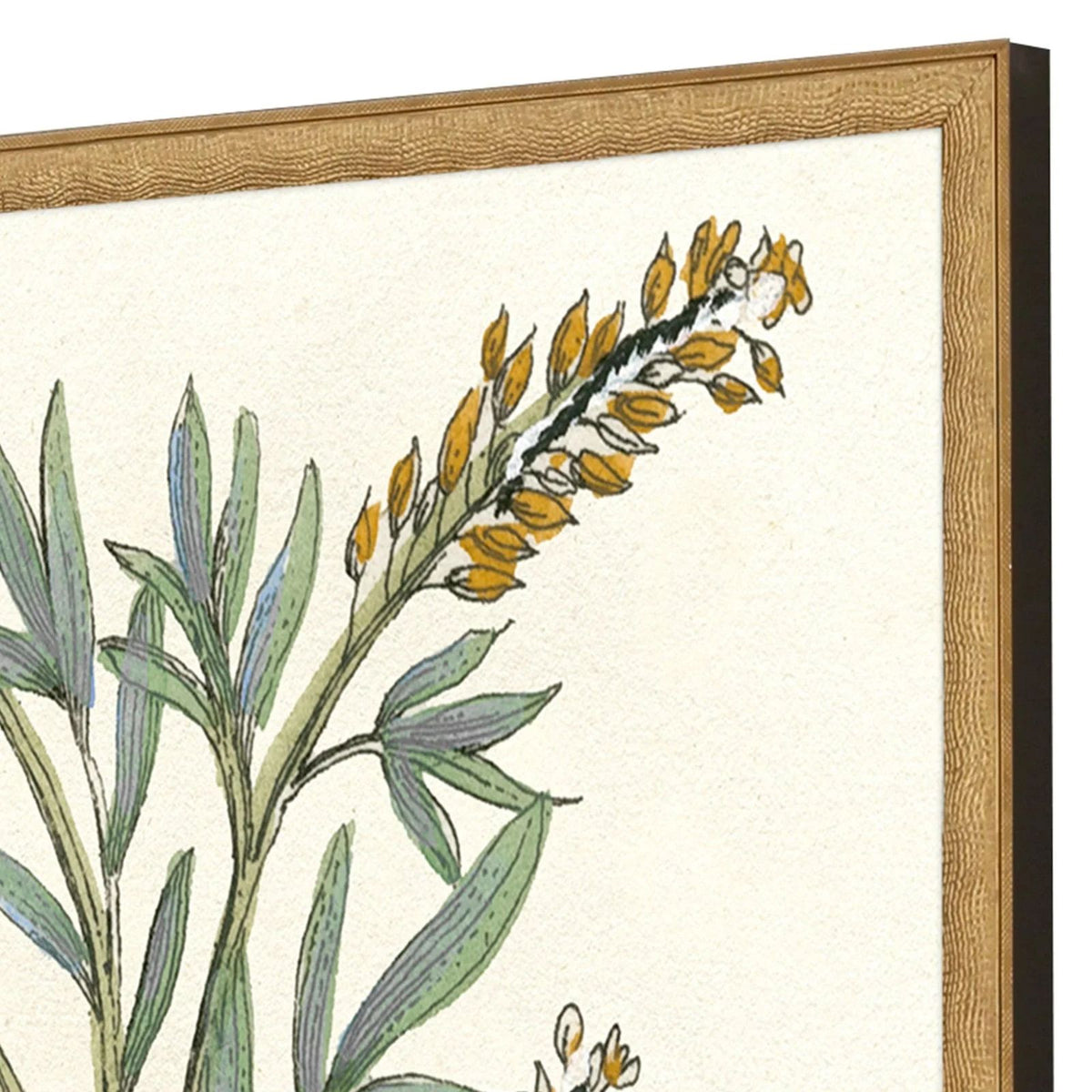 Paragon Botanical Plants Wood Frame Green Canvas Art 2PC