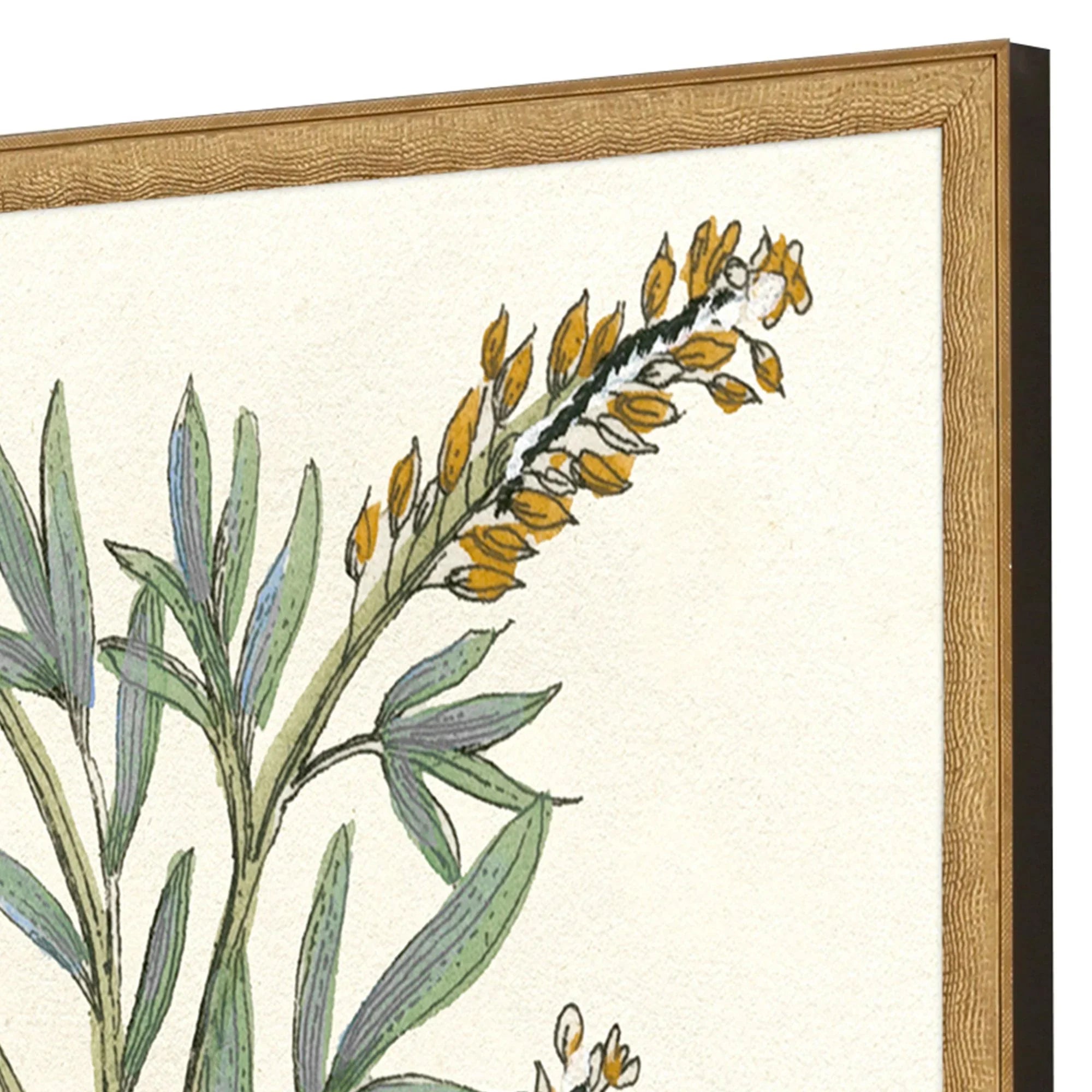 Paragon Botanical Plants Wood Frame Green Canvas Art 2PC