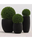 Coleus Concrete Round Outdoor Planter -- view 13