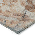 Faeriel Gray Washable Indoor-Outdoor Rug