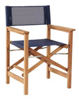 HiTeak Director Teak Folding Outdoor Folding Armchair