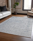 LOOMLAN Rugs Felissae Silver Washable Indoor-Outdoor Rug