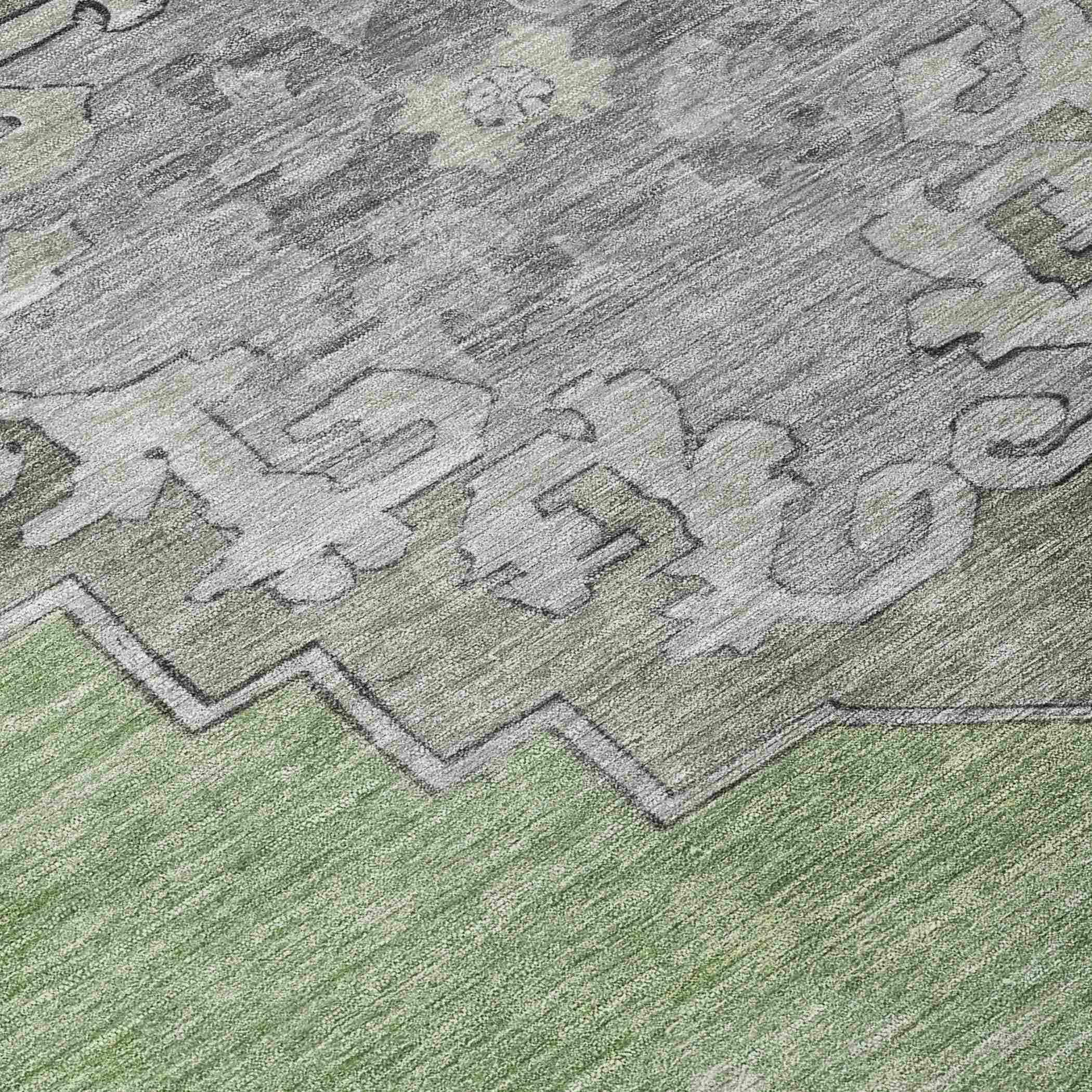 Addison Rugs Haelion Aloe Washable Indoor-Outdoor Rug