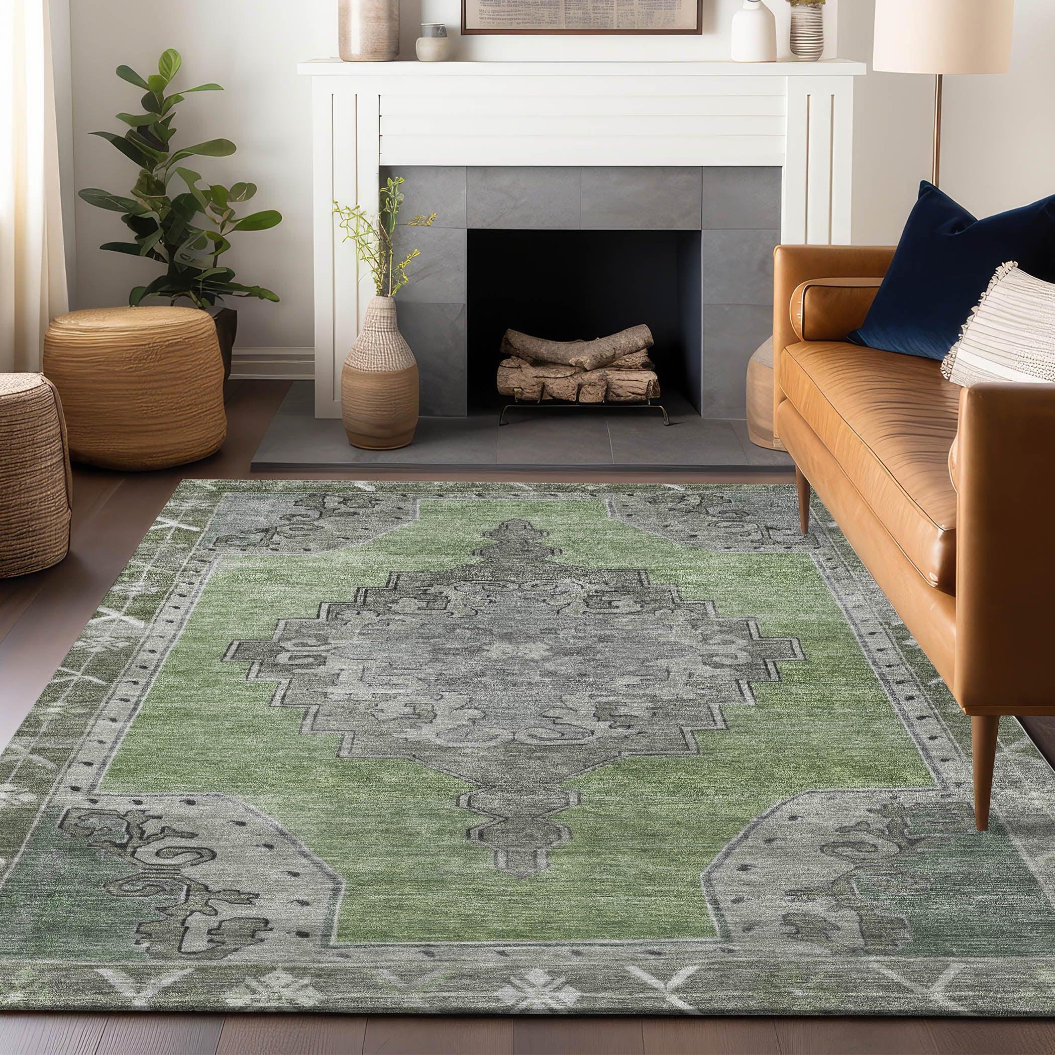 Addison Rugs Haelion Aloe Washable Indoor-Outdoor Rug