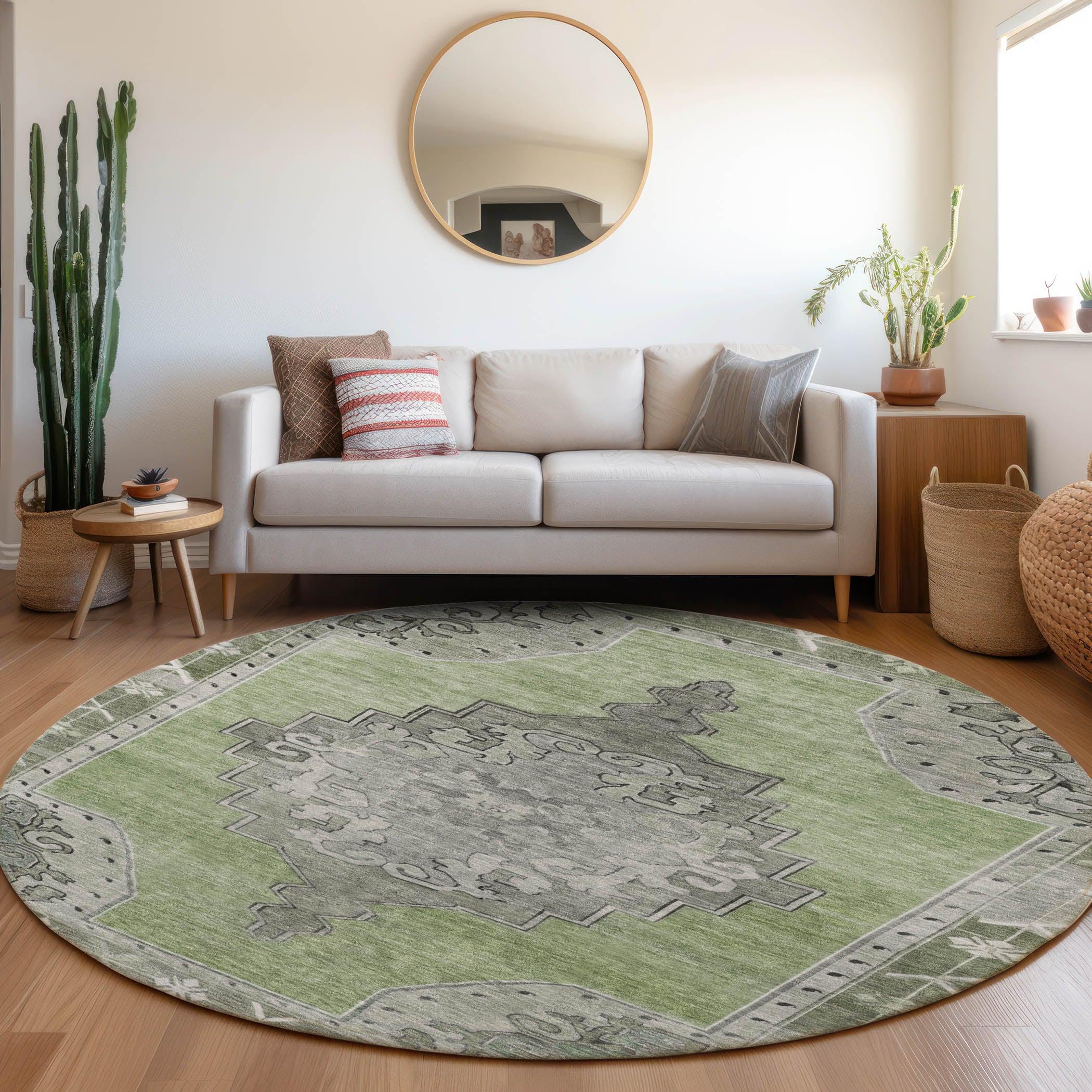 Addison Rugs Haelion Aloe Washable Indoor-Outdoor Rug